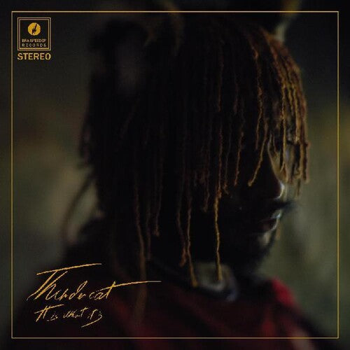 Thundercat: It Is What It Is - VINYL