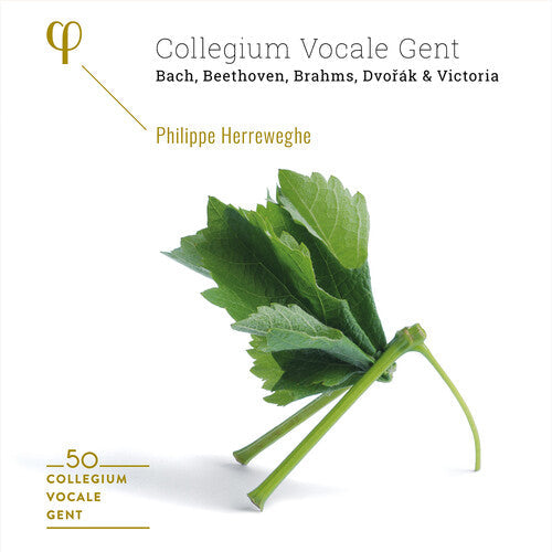 Various Artists: 50th Anniversary - Record