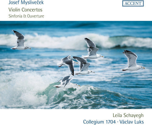 Myslivecek / Schayegh: Violin Concertos - Record