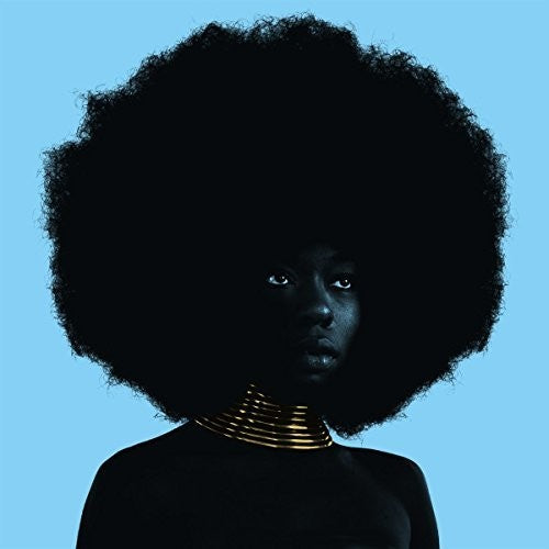 Sudan Archives: Sink - Record