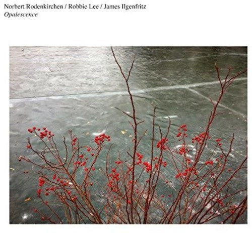 Norbert Rodenkirchen: Opalescence - Record