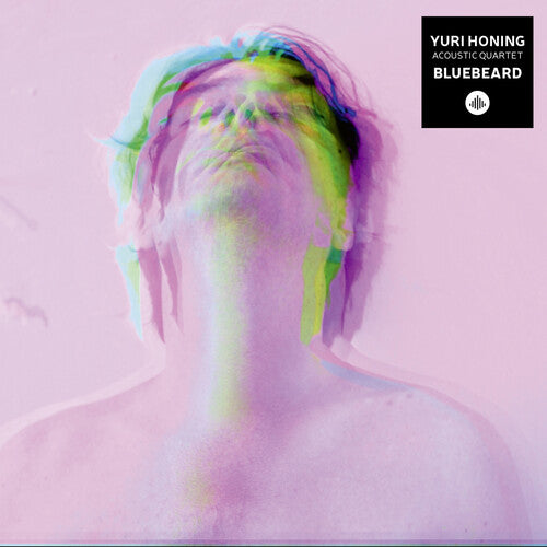 Yuri Honing Acoustic Quartet: Bluebeard - Record
