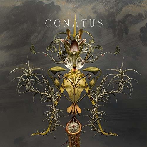 Joep Beving: Conatus - Record