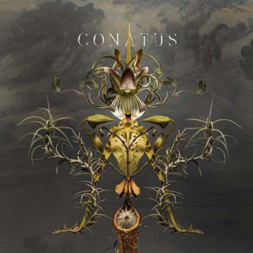 Joep Beving: Conatus - Record