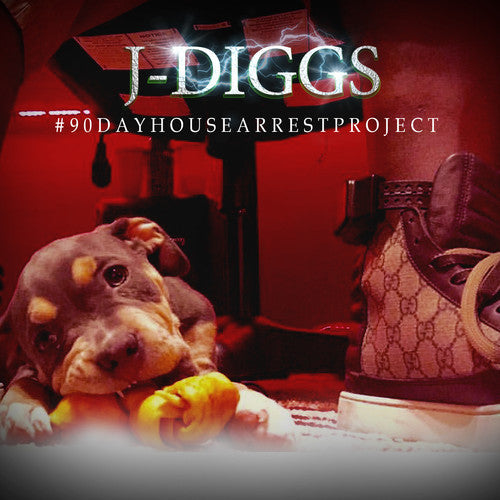 J. Diggs: #90Dayhousearrestproject - Record