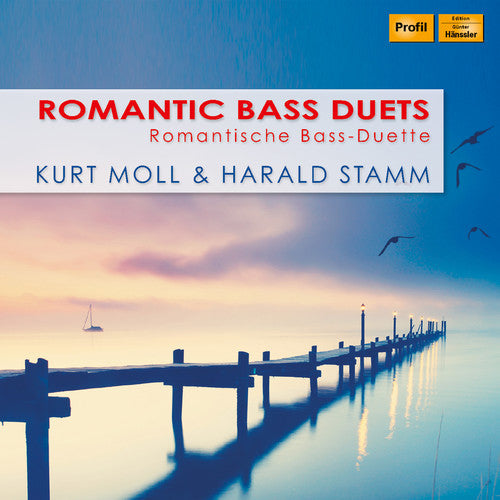 Dvorak / Stamm / Grunelius: Romantic Bass Duets - Record