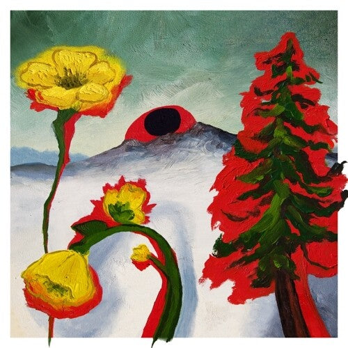 Woods: Strange To Explain - VINYL