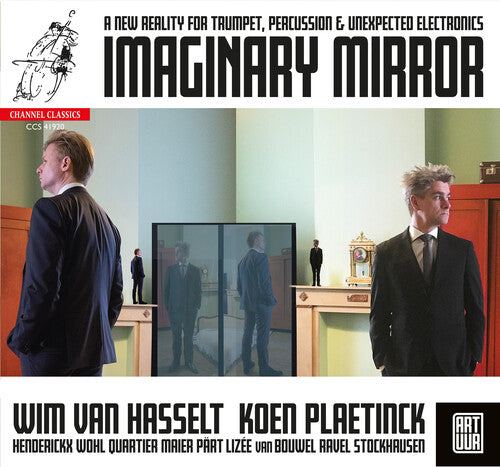 Koen Plaetinck: Imaginary Mirror - Record