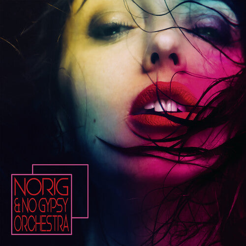 Norig & No Gypsy Orchestra: Norig & No Gypsy Orchestra - CD