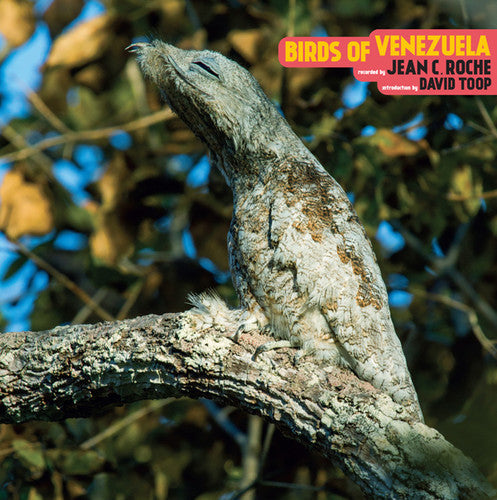 Roche, Jean C: Birds Of Venezuela - VINYL
