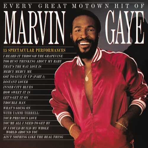 Marvin Gaye: Every Great Motown Hit Of Marvin Gaye: 15 Spectacular Performances - VINYL