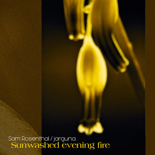 Sam Rosenthal: Sunwashed Evening Fire - Record