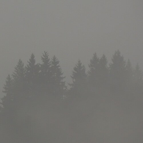Max Loderbauer: Donnerwetter - Record
