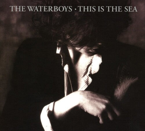 The Waterboys: This Is The Sea: Collectors Edition - CD