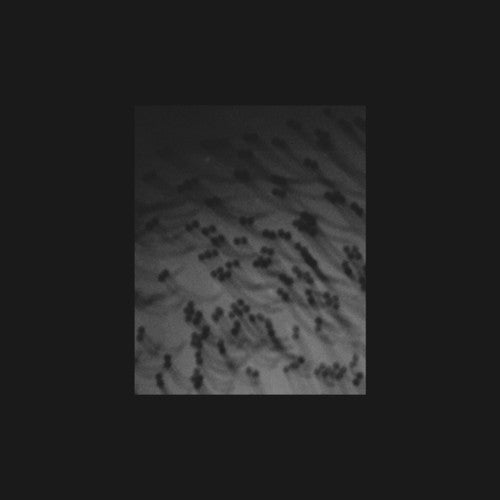 Merzbow: Monoakuma - Record