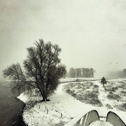 Beequeen: Winter - Record