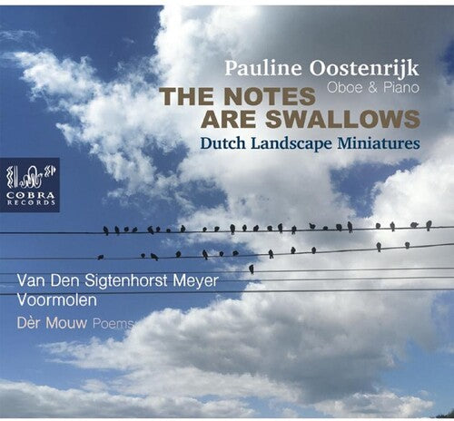 Pauline Oostenrijk: The Notes Are Swallows - Record