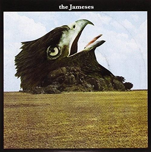 Jameses- Caribou { VINYL LP }