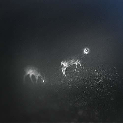 Bliss Signal- Bliss Signal [Limited Edition] { VINYL LP }