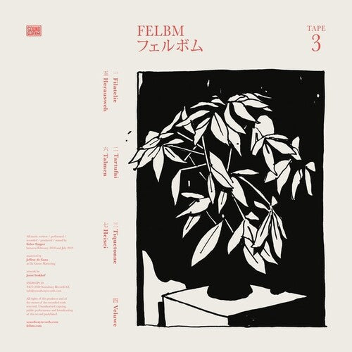 Felbm: Tape 3 / Tape 4 - Record
