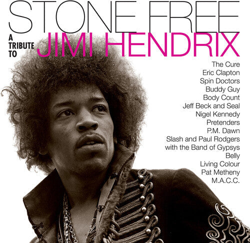 Jimmy Tribute Hendrix: Stone Free: Jimi Hendrix Tribute - VINYL