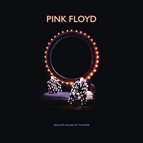 Pink Floyd: Delicate Sound Of Thunder Deluxe Box Set - CD