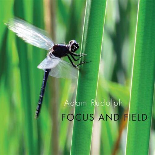 Rudolph: Focus & Field - Record