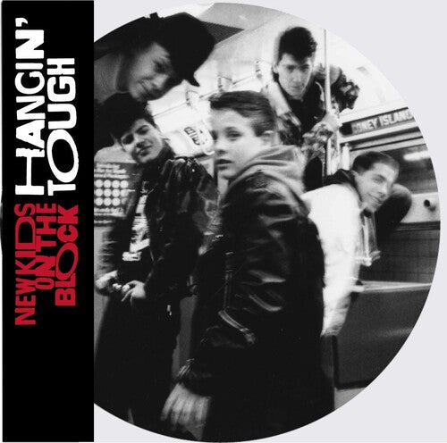 New Kids on the Block / Nkotb: Hangin' Tough (Ltd Picture Disc) - VINYL