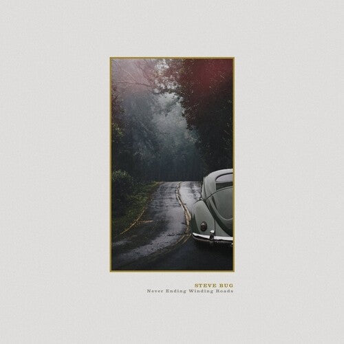 Steve Bug: Never Ending Winding Roads - Record
