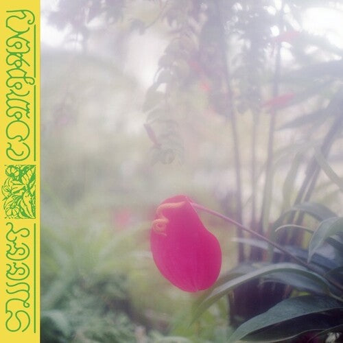 Jabu: Sweet Company - Record
