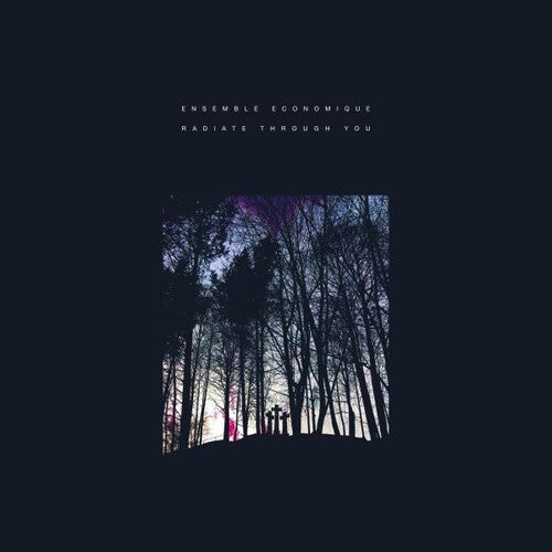 Ensemble Economique: Radiate Through You - Record