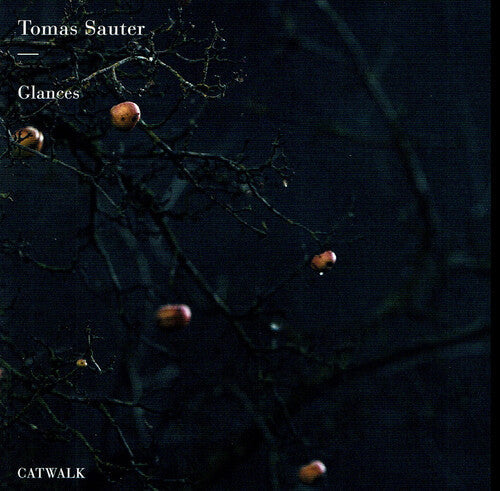 Sauter / Sauter: Glances - Record