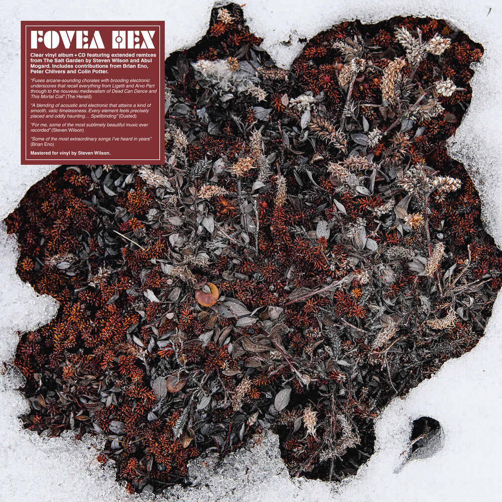 Fovea Hex- Salt Garden (Clear Vinyl) (W/Cd) [Clear Vinyl] { VINYL LP }