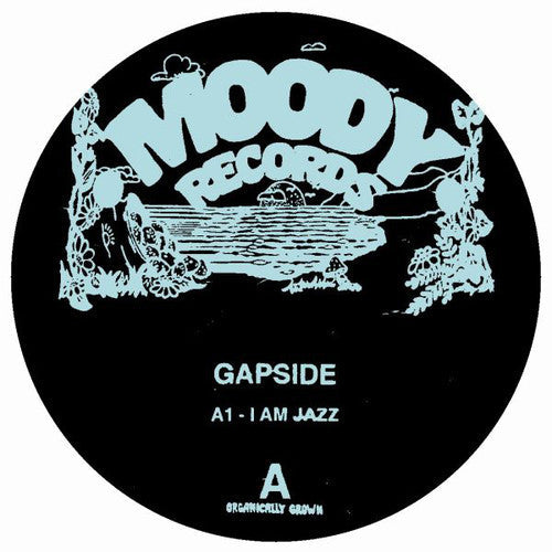 Gapside / Encuentros: Gapside / Encuentros - Record