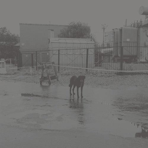 Nivhek- After Its Own Death / Walking In A Spiral Towards The House { VINYL LP }