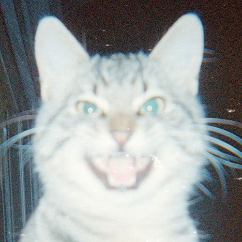 Local Suicide / Fehr, Nicki: Leopard Gum - Record