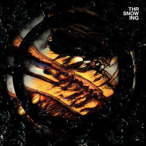 Throwing Snow: Dragons - Record
