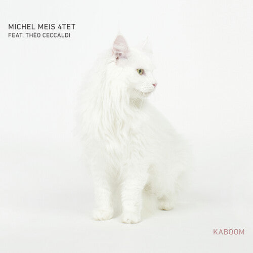 Michel Meis 4Tet: Kaboom - Record