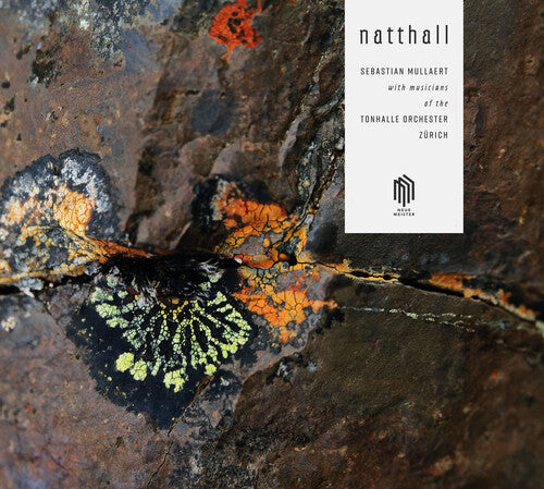 Mullaert Members Of The Tonhalle Orchester Zürich: Natthall - Record