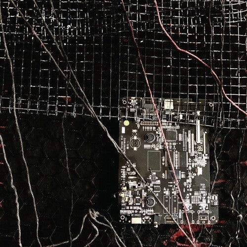 Merzbow / Prurient: Black Crows Cyborg - Record