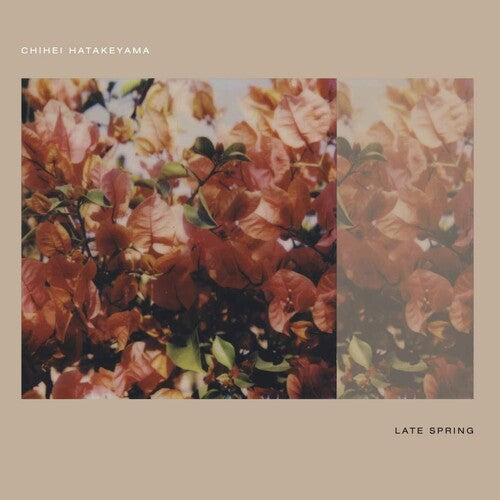 Chihei Hatakeyama: Late Spring - Record
