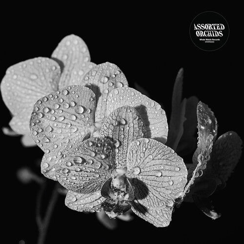Assorted Orchids: Assorted Orchids - Record