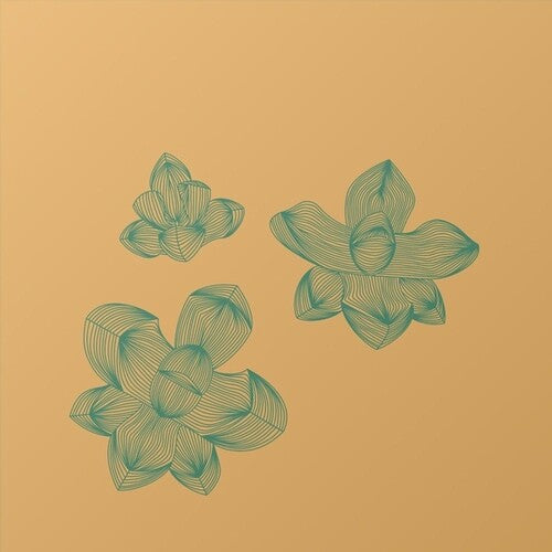 O-Wells: Subfriction - Record