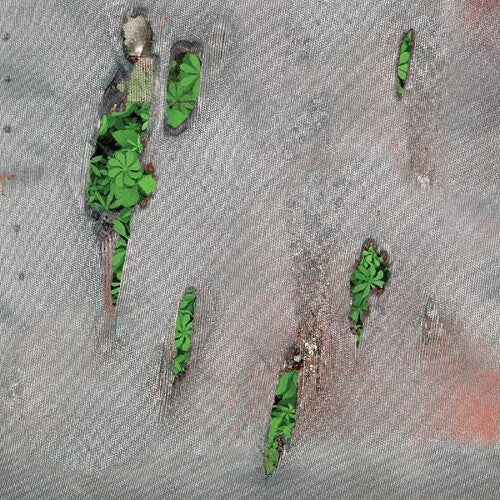 Koreless: Agor - Record