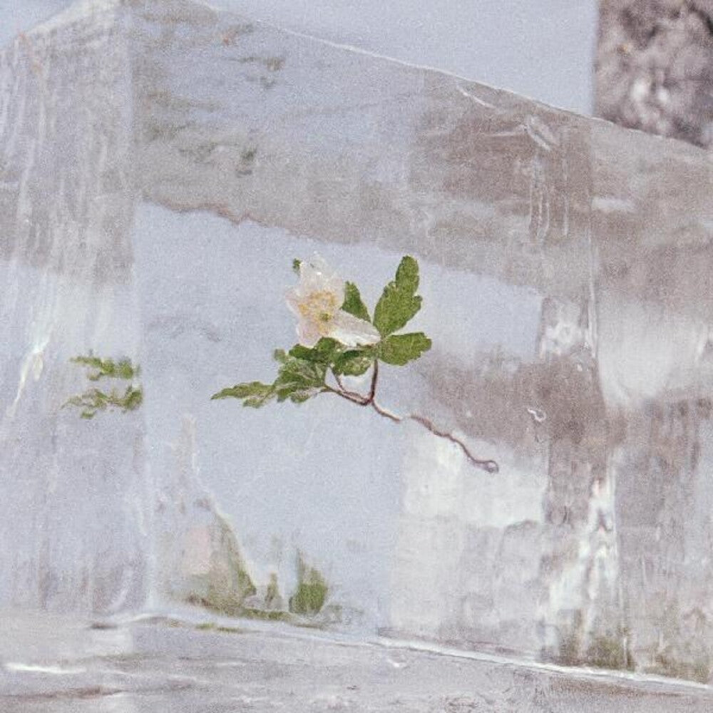 Efterklang- Windflowers { VINYL LP }