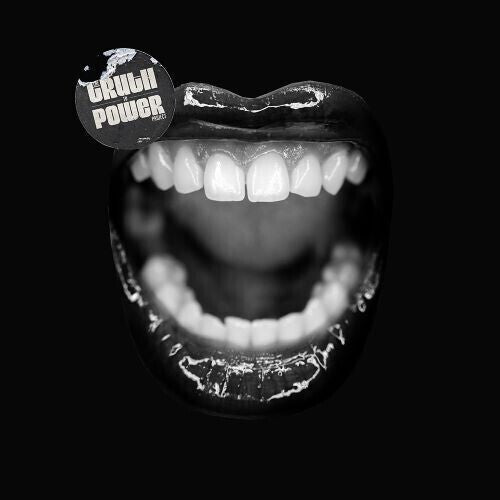 Various Artists: Truth to Power Project (Various Artists) - VINYL