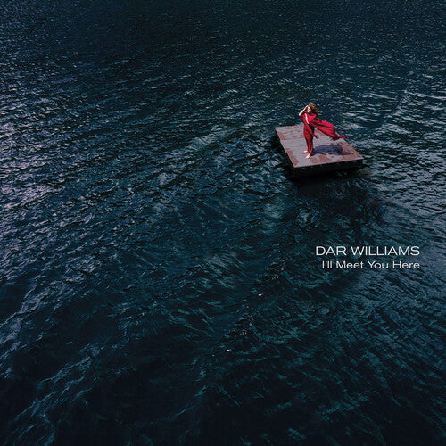 Dar Williams: I'll Meet You Here - Record
