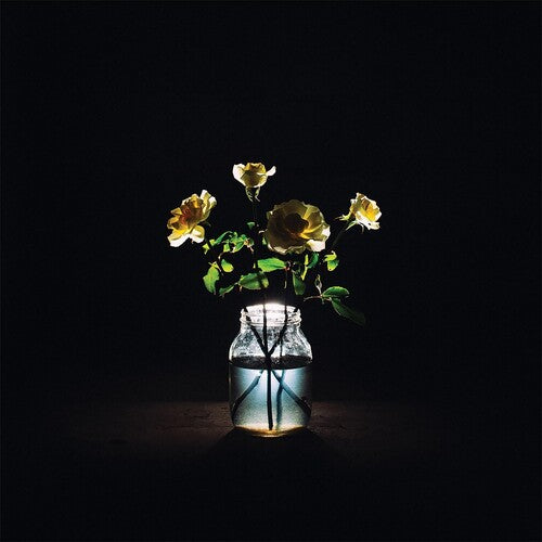 Billy Strings: Renewal - Record