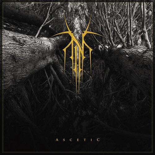 Norse: Ascetic - CD