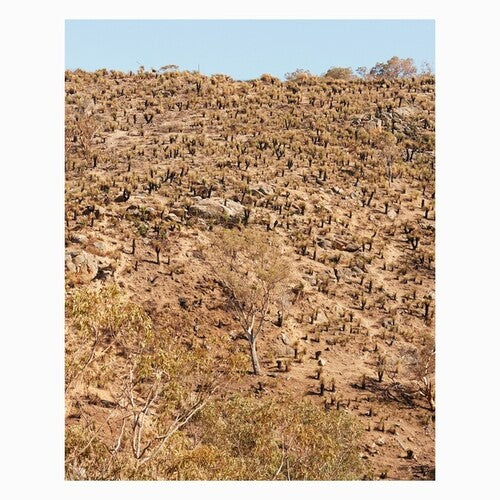 Andrew Pekler: Palimpsests - Record
